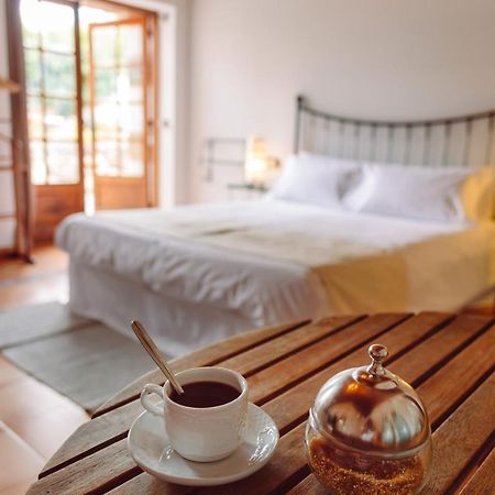 Ecoverode Hotel Emblematico Vegetariano Vegano أرونا المظهر الخارجي الصورة